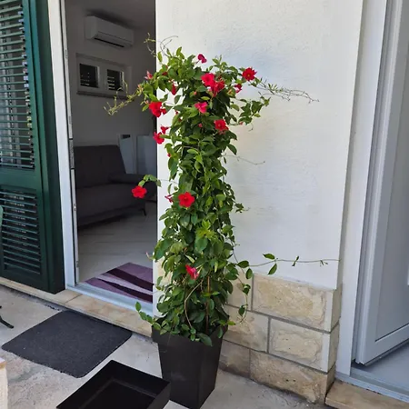 Apartman Bauer - Omis- Nemira Exterior photo