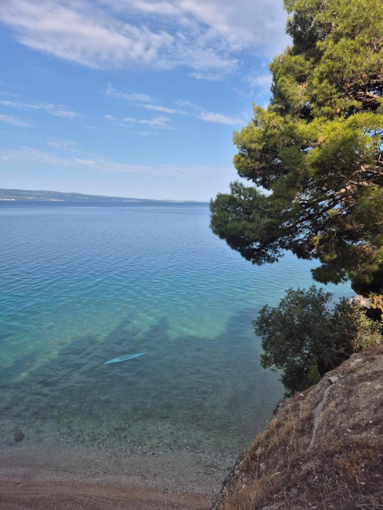 Bauer - Omis- Nemira * Omis