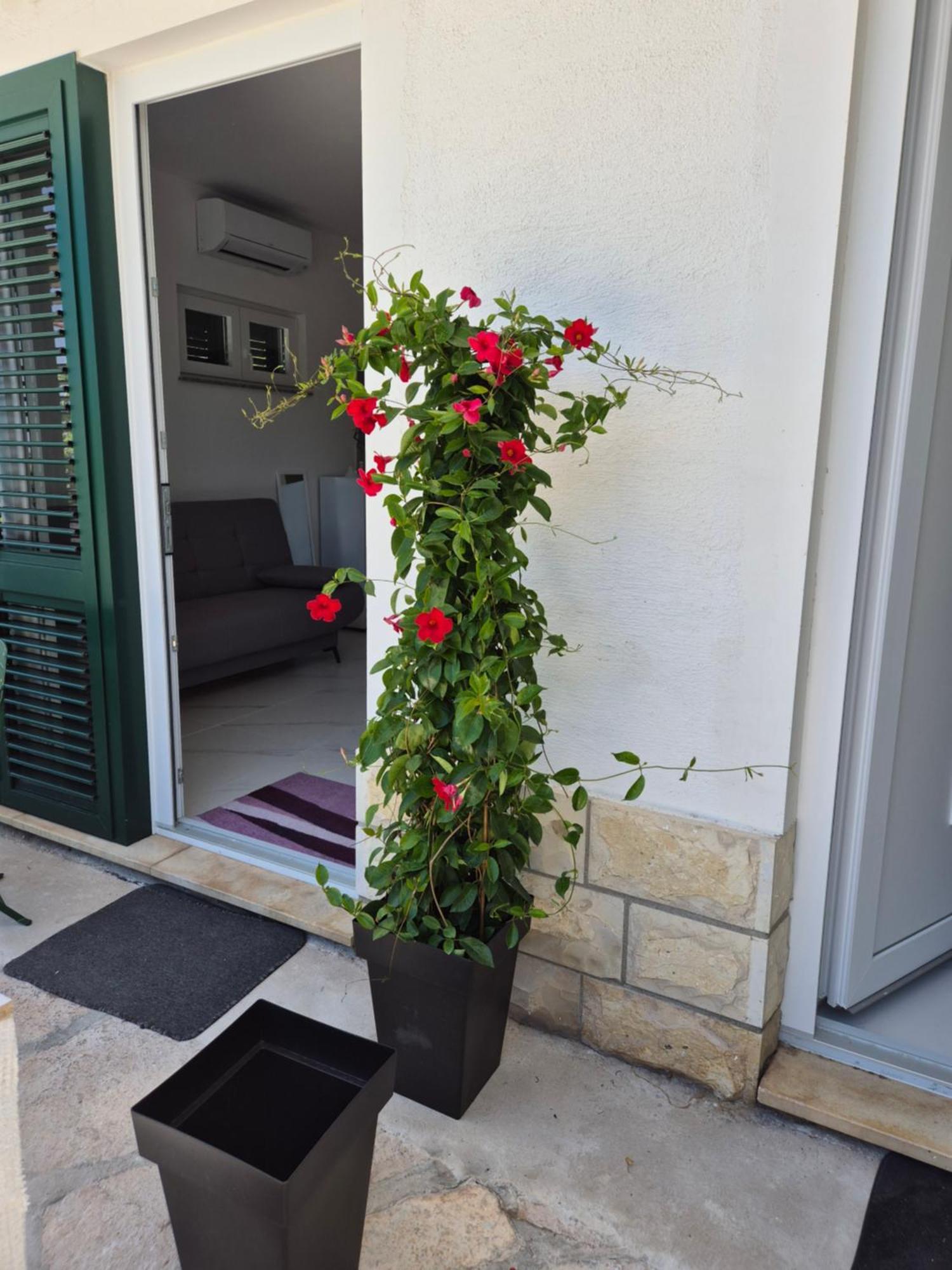Apartment Bauer - Omis- Nemira Omis