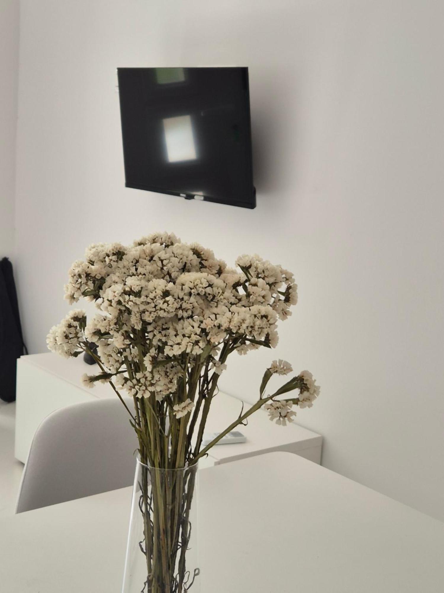 Bauer - Omis- Nemira Apartment