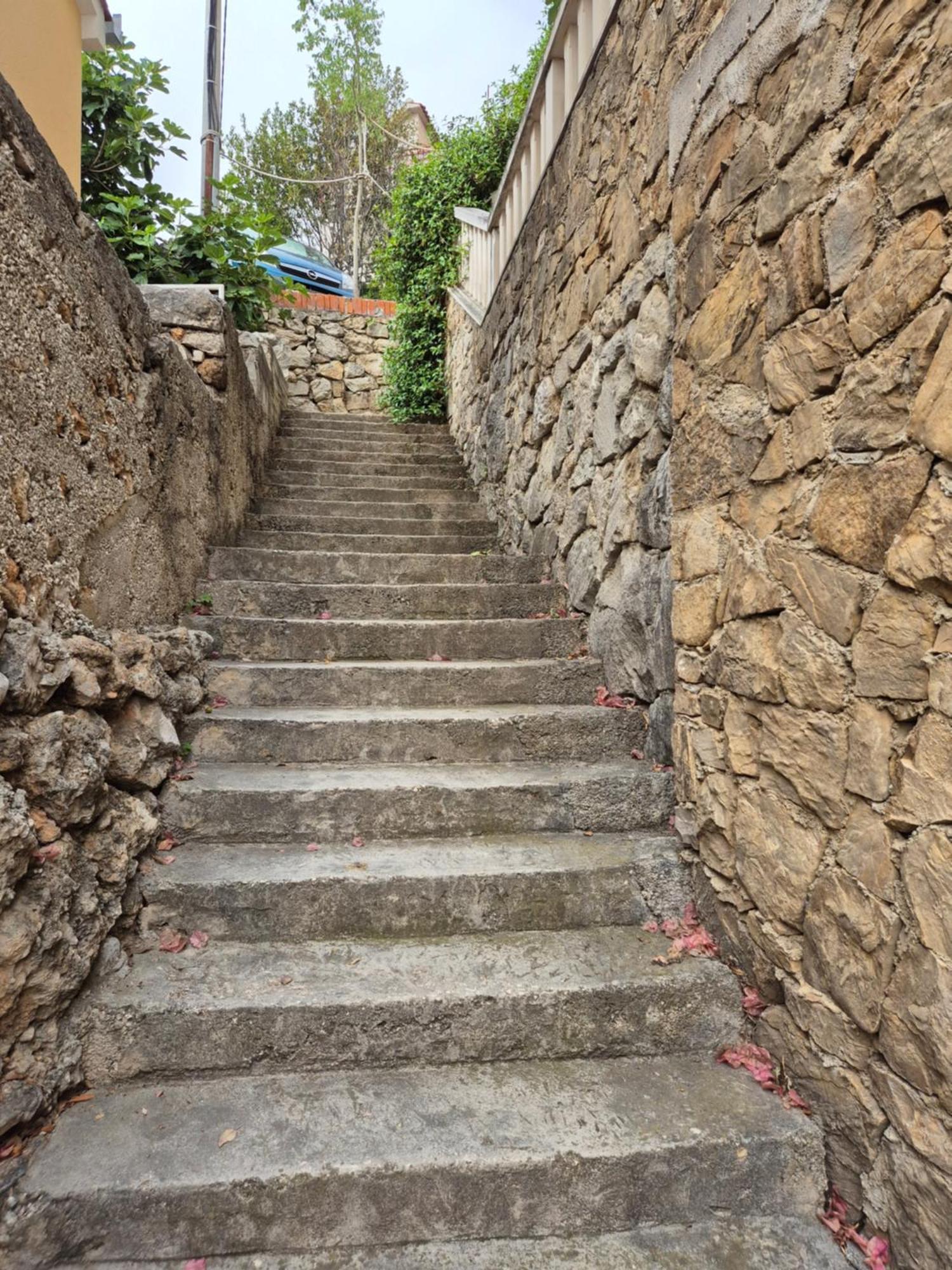 Bauer - Omis- Nemira * Omis